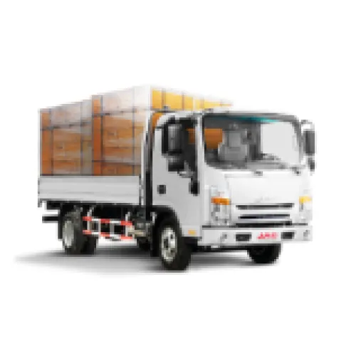camion ligero 1